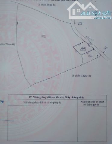bán lô đất mặt tiền mănglin giá đầu tư view đẹp view rừng thông - 4