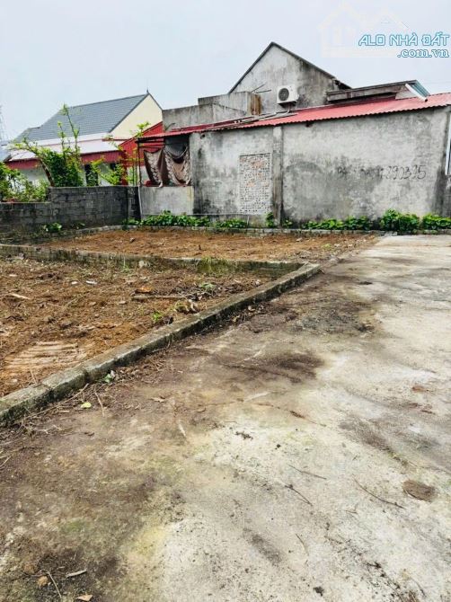 Bán đất Quyết Tiến - Hợp Đức - Đồ Sơn - Hải Phòng - 4