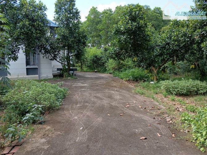 Bán nhà vườn tại Sóc Sơn 1500m2 - 4
