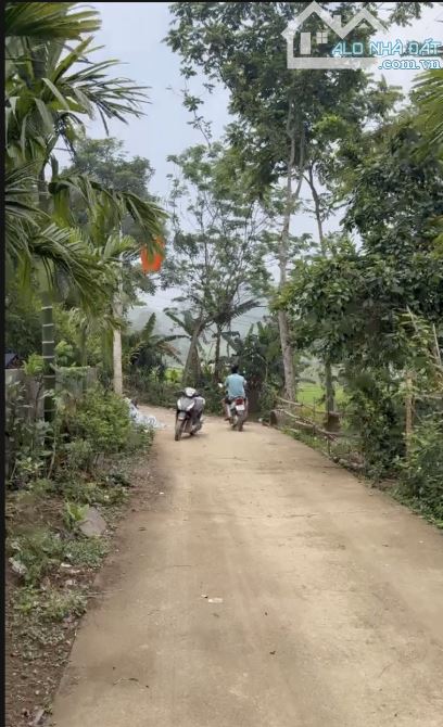 Bán đất tặng khuôn viên nhà vườn mới tinh 700M có 400M đất ở_Cao Dương Lương Sơn HB_2,x tỷ - 4