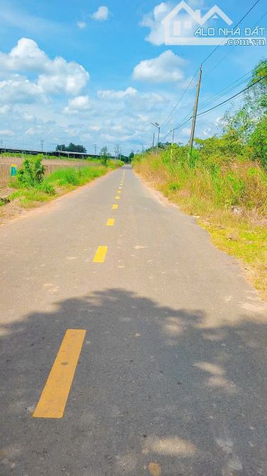 BÁN VƯỜN ĐIỀU 3.3 MẪU MẶT TIỀN ĐƯỜNG NHỰA LỚN, SẴN THỔ CƯ, GIÁ BÁN NHANH CỰC TỐT - 5