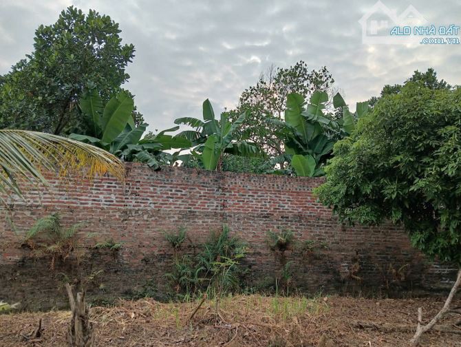 Bán nhà vườn tại Sóc Sơn 1500m2 - 5