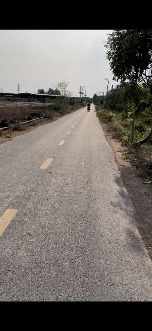 BÁN VƯỜN ĐIỀU 3.3 MẪU MẶT TIỀN ĐƯỜNG NHỰA LỚN, SẴN THỔ CƯ, GIÁ BÁN NHANH CỰC TỐT - 6
