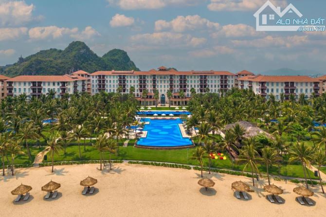 🔥 ĐÀ NẴNG: BÁN NHANH 2 LÔ LIỀN KỀ ĐẤT BIỂN SƠN THỦY DT:190M2 (10 x 19) CHỈ NHỈNH 11 TỶ. - 6