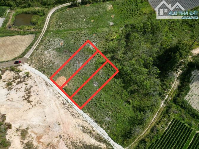 Bán đất Biệt thự Pren - P3 Đà lạt. -  340m2 - 3 tỷ 5 -  giáp thông xanh - 7