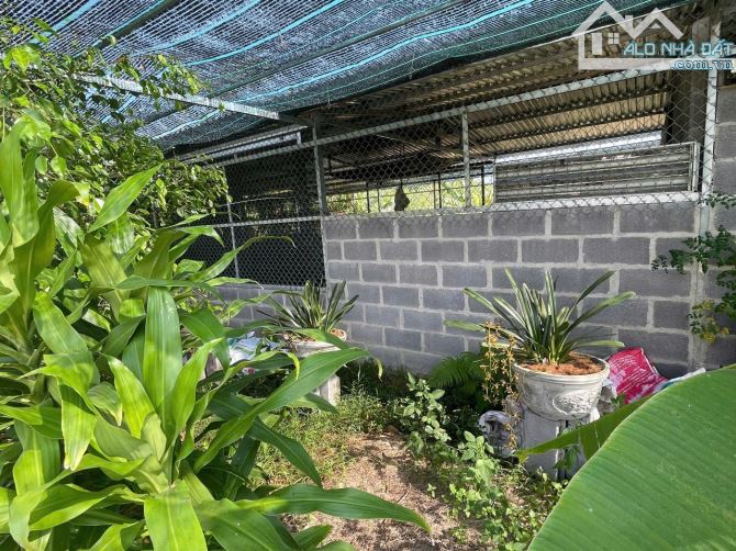 Bán đất Sông Cầu - Khánh Vĩnh đã lên mô hình Farm đang thu hoạch gần QL27C - sẵn điện nước - 8