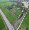 Chủ kẹt tiền cần bán gấp 22.000m2 đất trồng cây lâu năm, cây hàng năm tại Đông Hưng
