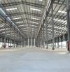 Nhà xưởng, kho logistics cho thuê thủ đức trường thọ, diện tích 2000m2, 3200m2, 4500m2