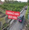 1000m2 vườn vew kênh được lên thổ 850 triệu thạnh hoà_ bến lức Long An