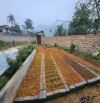 Bán đất tặng khuôn viên nhà vườn mới tinh 700M có 400M đất ở_Cao Dương Lương Sơn HB_2,x tỷ