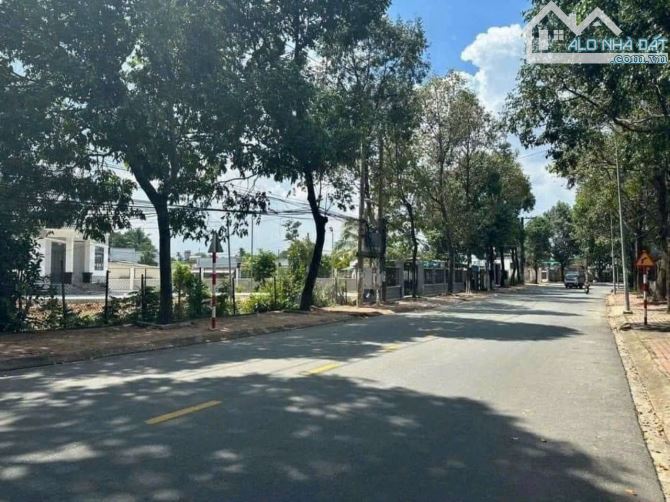 Đất MT Nguyễn Tri Phương: 17 x 36, thổ cư122m2.