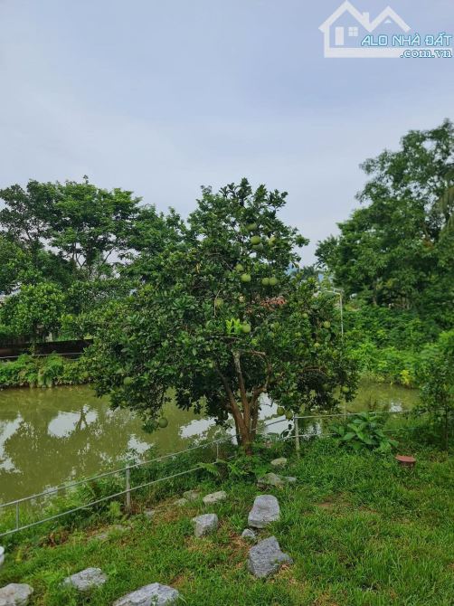tin nóng tin nóng , vườn cây ăn trái 2000m giá 385 triệu