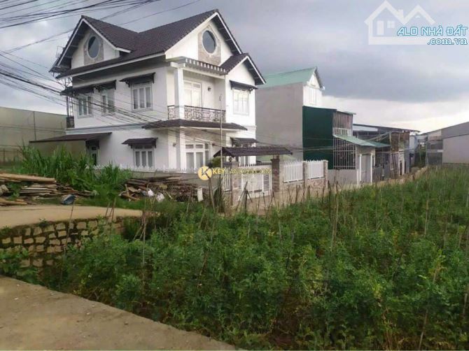 Bán Đất Lữ Gia P9 Giá Mềm Đầu Tư Sinh Lời