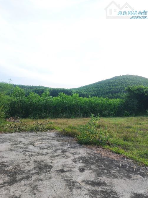 Gần 1.000 m² có 150 m² đất ở giá bất ngờ