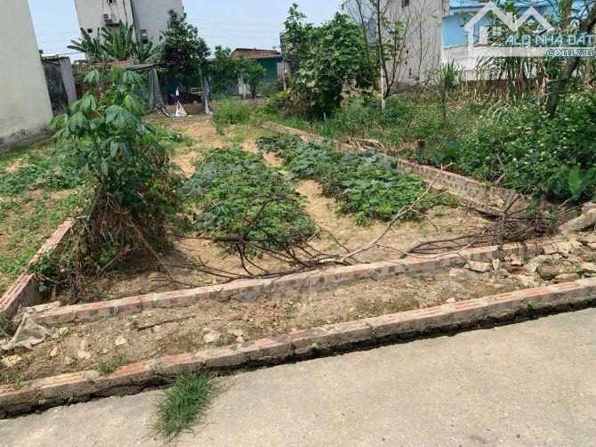 ✨️Yên Ninh - Hiền Ninh - Sóc Sơn 65m=32tr/m - 1