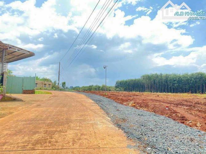 Chỉ 300 triệu !! Ngang 16 sâu 66. Đất view suối - 1