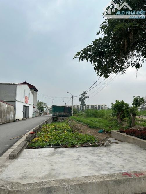 🔥A trai gửi bán  lô góc 100m tại Nghĩa Trụ-Văn Giang🔥🔥🔥 👉Đg trc đất 8m 2 ô tô tránh - 1