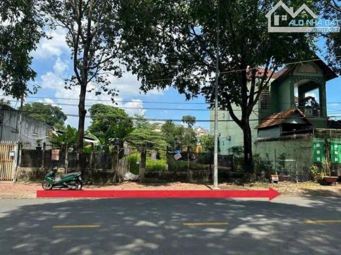 Đất MT Nguyễn Tri Phương: 17 x 36, thổ cư122m2. - 1