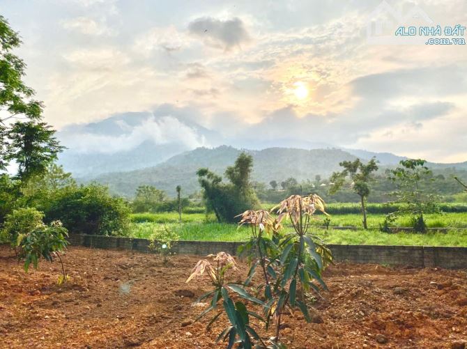 Bán đất vân hòa Ba Vì Hà Nội  1770m2 _ 300m2 thổ cư  giá hơn 4tr/m2 - 1