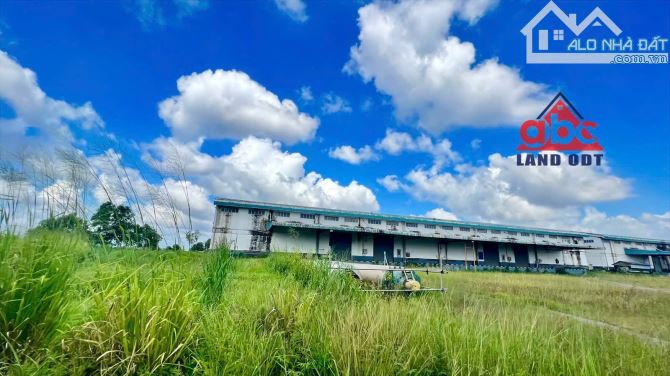 XT256 Cho thuê - Kho - Xưởng SX Nhẹ. Ngoài Khu Công Nghiệp. Long Thành. Đồng Nai. - 1