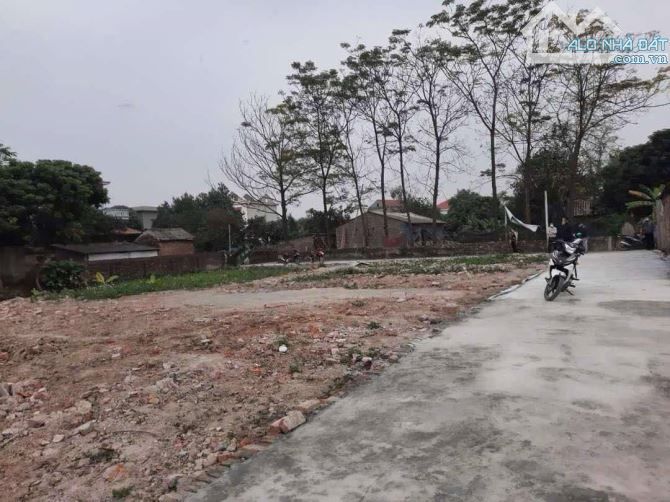 Bán đất Cẩm Hoàng, Cẩm Giàng, Hải Dương, 400 triệu, 80m2 - 1