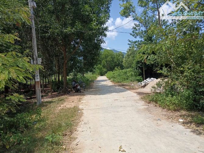 Bán lô đất ở Thôn Bắc, xã Ninh Tân, gần UBND xã Ninh Tân, TX Ninh Hòa - 1