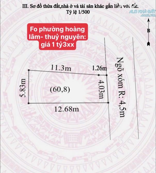 Hàng hiếm f0 mặt đường TDP phường Hoàng Lâm , TP Thuỷ Nguyên - 1