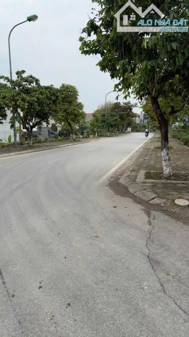 🌟 Cực phẩm 2 căn liền kề Phượng Nghĩa – Phụng Châu, chỉ từ 3,3 tỷ! - 1