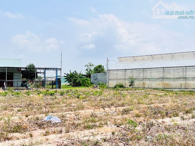 1800m2(20x90) Cách biển 3km View núi Minh đạm giá 3,2tr/m2 - 1