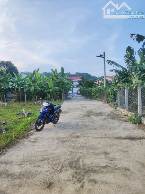 Gần 1.000 m² có 150 m² đất ở giá bất ngờ - 1