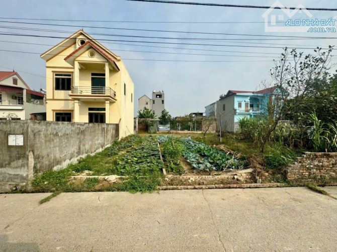 ✨️Yên Ninh - Hiền Ninh - Sóc Sơn 65m=32tr/m - 2