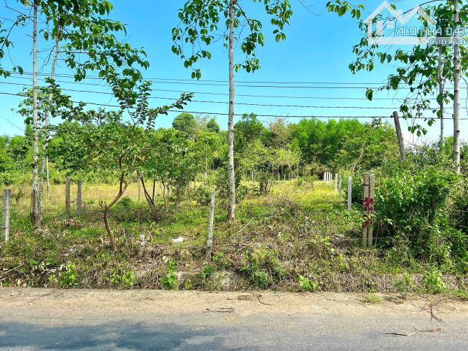 Bán đất mặt tiền Tỉnh Lộ 8B - Khánh Bình gần khu tái định cư - 2