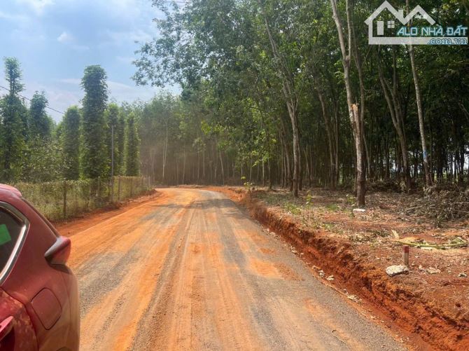 Chỉ 300 triệu !! Ngang 16 sâu 66. Đất view suối - 2