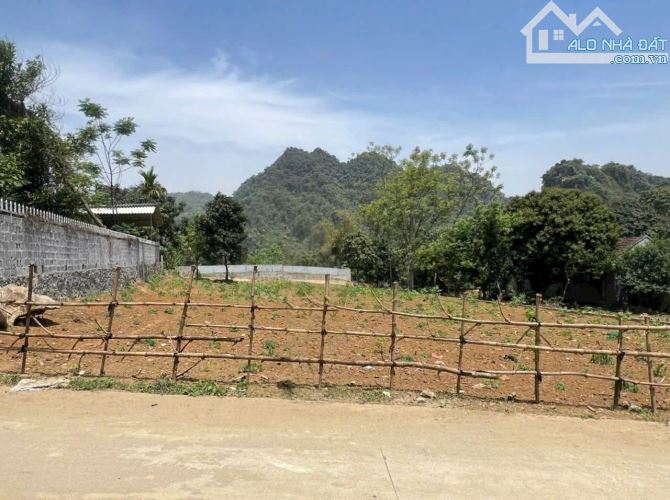 Cao Dương - Lương Sơn 954m full ONT giá chỉ 3,5 tỷ. Gần trục chính Tân Long Châu - 2