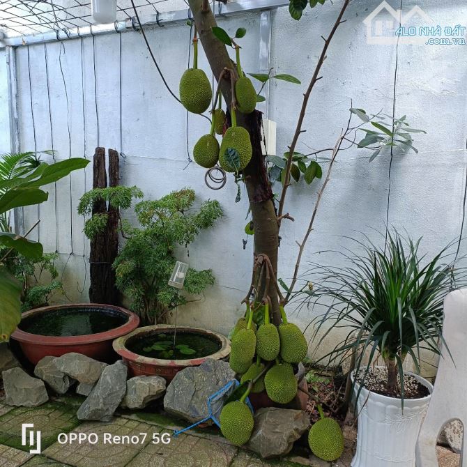 Bán 2 lô liền kề 5*20m . Khu phố 4. Thị trấn Hóc Môn - 2