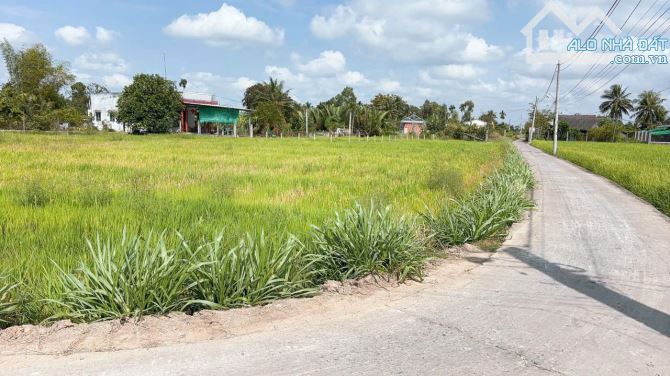 Bán đất thổ gần chợ Tân Trụ 700m, 5x23 giá 470tr Đức Tân, Tân Trụ, Long An - 2