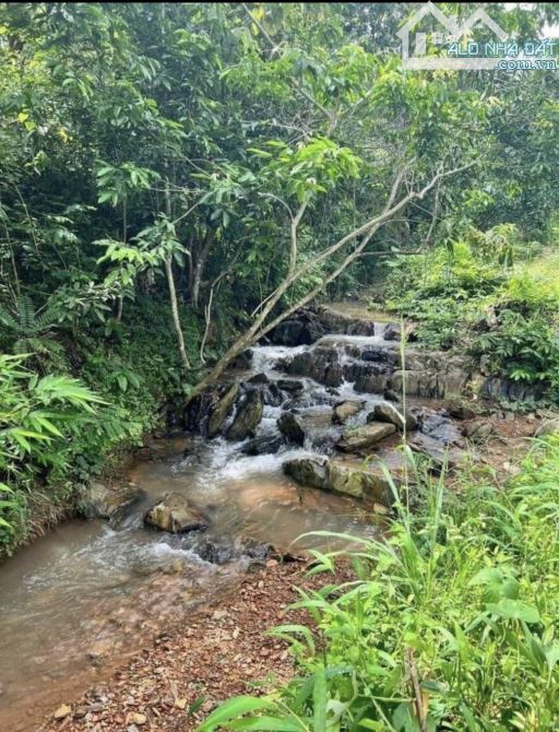 tin nóng tin nóng , vườn cây ăn trái 2000m giá 385 triệu - 2