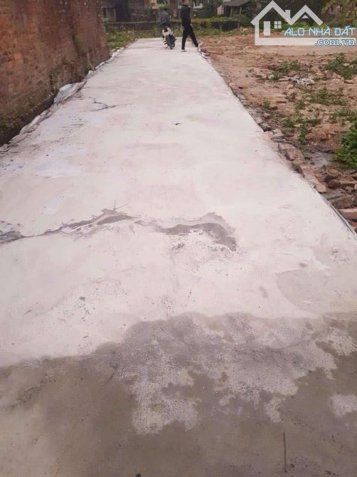 Bán đất Cẩm Hoàng, Cẩm Giàng, Hải Dương, 400 triệu, 80m2 - 2