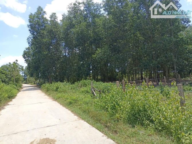 Bán lô đất ở Thôn Bắc, xã Ninh Tân, gần UBND xã Ninh Tân, TX Ninh Hòa - 2