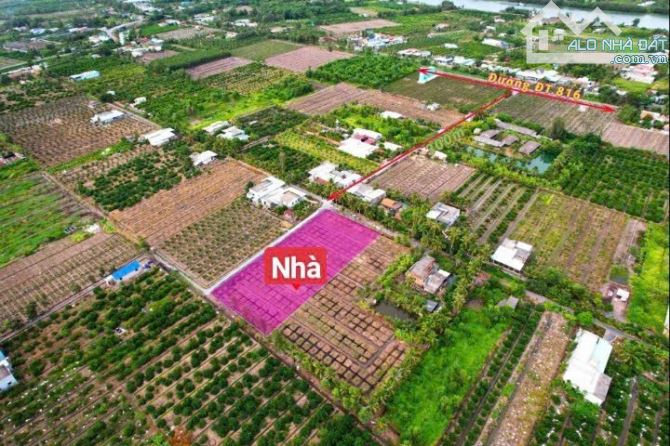 Bán nhà vườn 1000m2 view kênh cực đẹp chỉ 1.1 tỷ - 2
