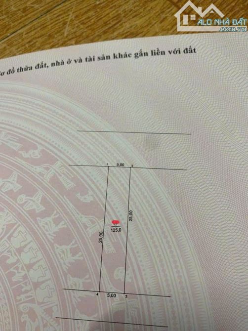 Trục chính- 2 xe tải Tránh- phân lô - xã Ngọc Hồi - 3