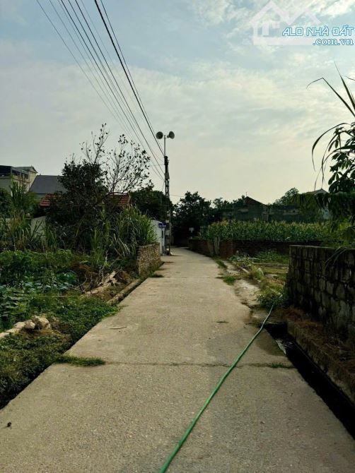 ✨️Yên Ninh - Hiền Ninh - Sóc Sơn 65m=32tr/m - 3