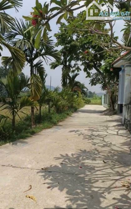 Bán đất Phước Hiệp (Luật Chánh), Tuy Phước. 100m2. Giá thấp - 3