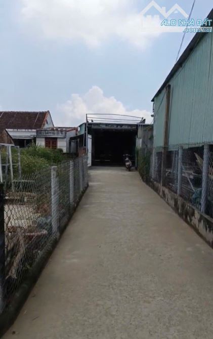 Bán đất Tú Thủy, Phước Hiệp, Tuy Phước. Giá thấp - 3