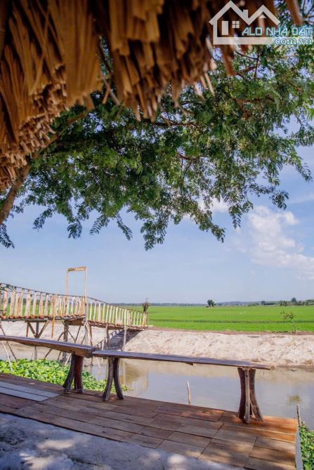 HOMESTAY HOÀN THIỆN GẦN BIỂN CẦN BÁN, LIỀN KỀ THỊ TRẤN PHƯỚC BỬU, GIẢM 30% SO VỚI GIÁ CŨ - 3