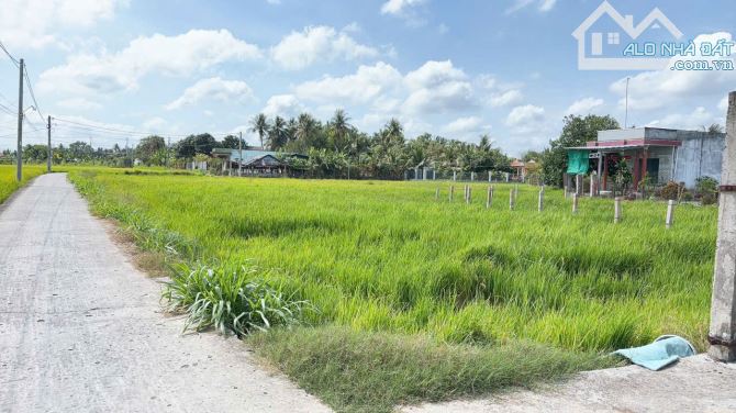 Bán đất thổ gần chợ Tân Trụ 700m, 5x23 giá 470tr Đức Tân, Tân Trụ, Long An - 3