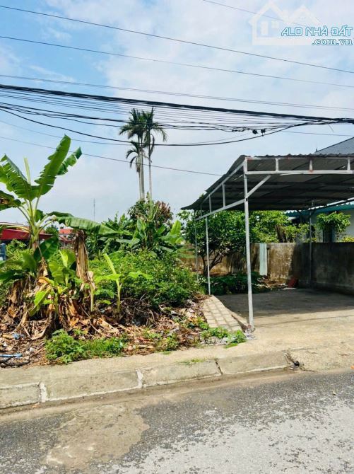 Bán đất TDP Quang Trung - Minh Đức - Đồ Sơn - Hải Phòng - 3