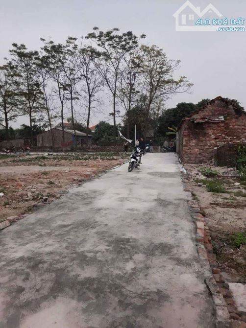 Bán đất Cẩm Hoàng, Cẩm Giàng, Hải Dương, 400 triệu, 80m2 - 3