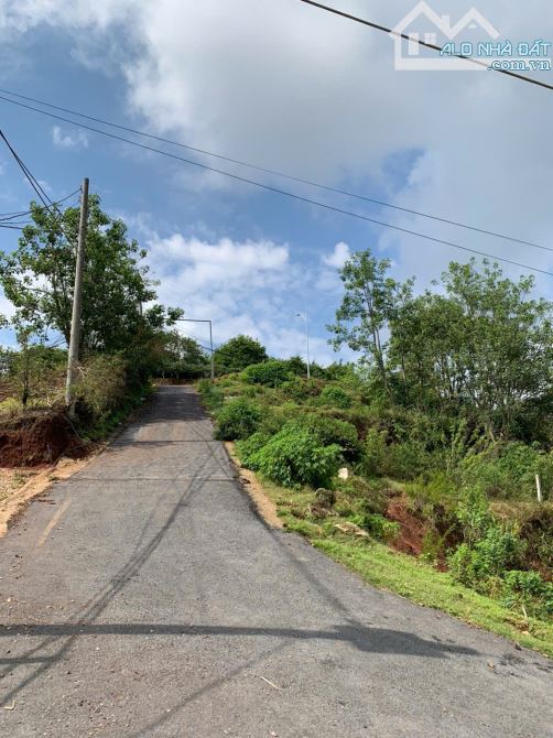 ĐẤT RỘNG SẴN NHÀ THÔ VIEW THÔNG GẦN VILLA NGHỆ SĨ TRƯỜNG GIANG ĐƯỜNG MĂNG LINE P7 ĐÀ LẠT - 3