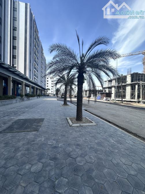 Bán căn 2 ngủ chung cư Cát Tường Smart City giá 9xxtr vào tên chính chủ view công viên. - 4